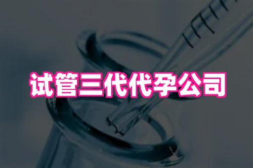 泉州助孕网 4